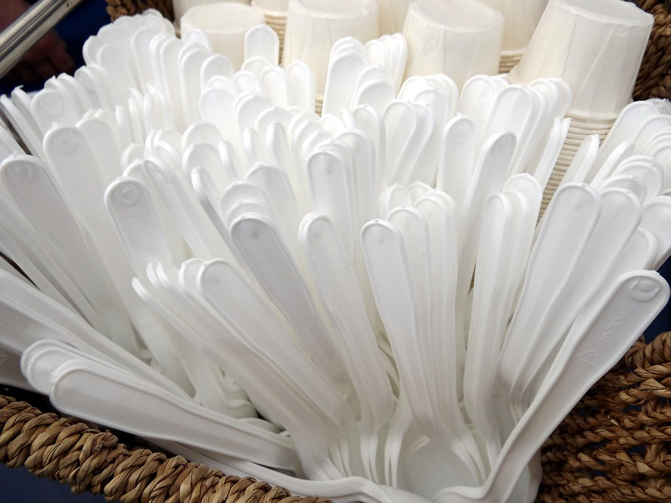 France bans disposable plastic tableware