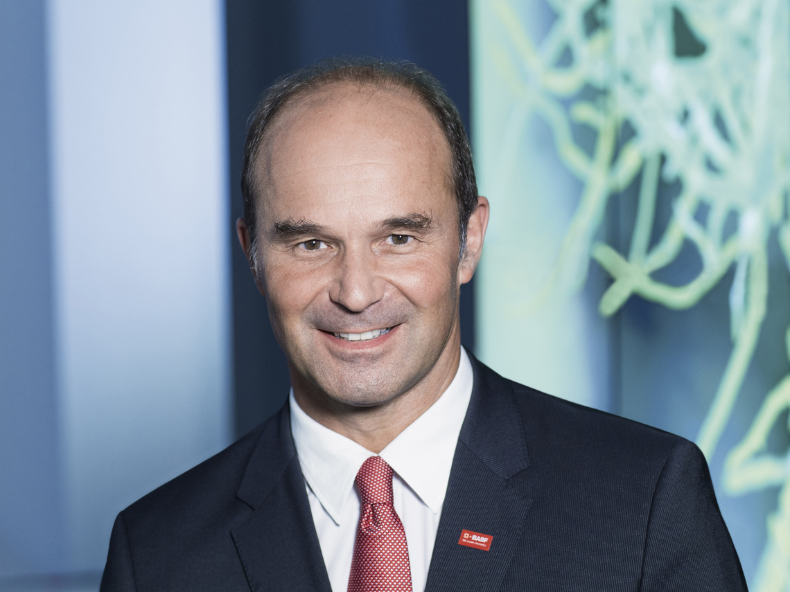 Martin Brudermüller, BASF SE