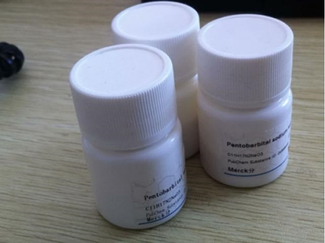 nembutal pentobarbital sodium