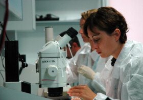 Design R&D capacity in the supply of the automotive industry
