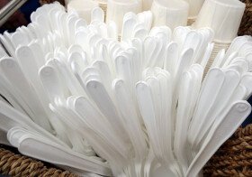 France bans disposable plastic tableware