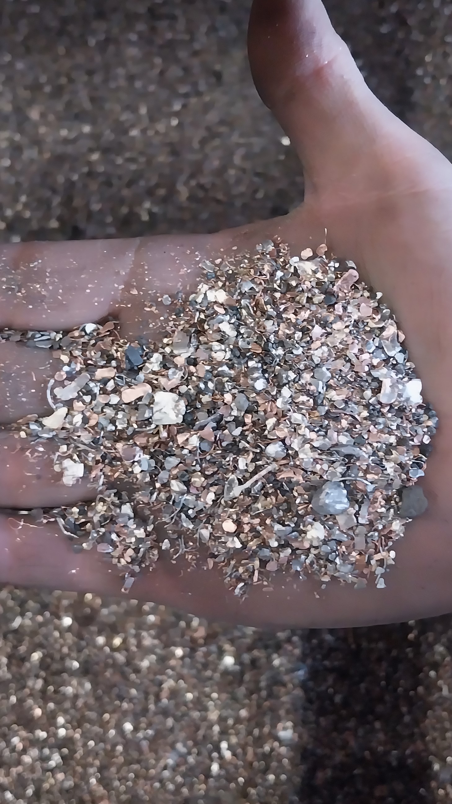 Mix of small fractions of brass, bronze, stainless steel, iron, and copper.